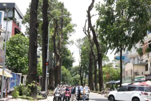 Các vụ tai nạn thương tâm trong thời gian qua