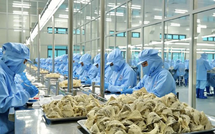 Những nỗ lực hiện tại